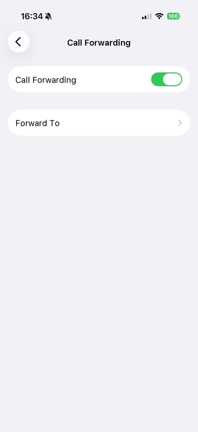 iPhone settings with the call forwarding toggle